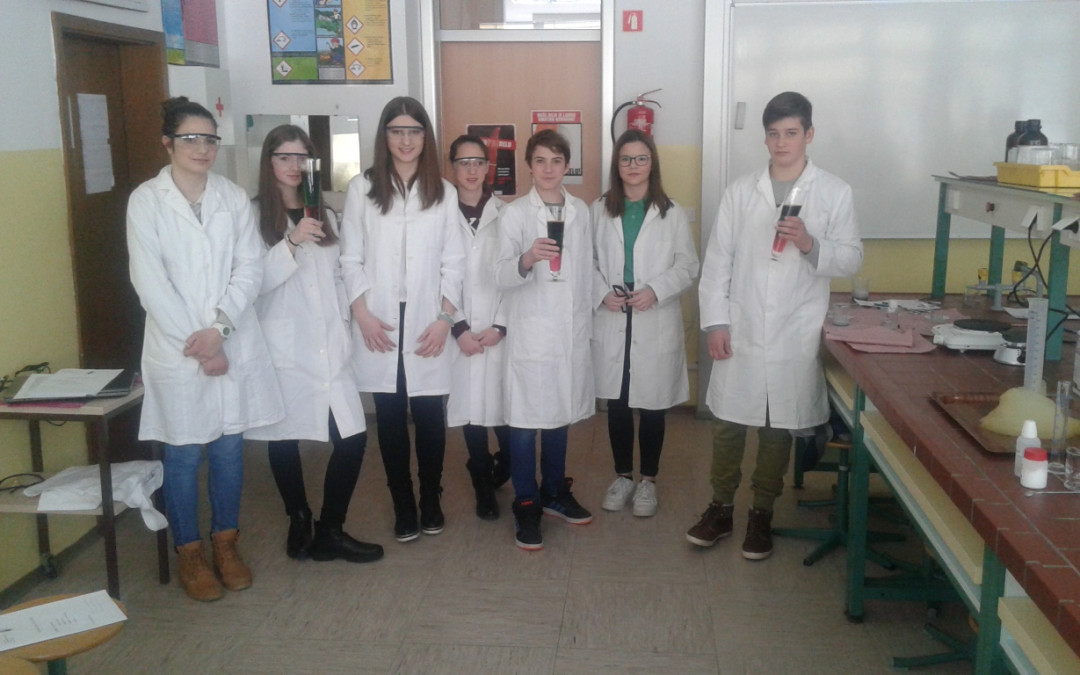 Naravoslovni dan na Srednji zdravstveni in kemijski šoli Novo mesto
