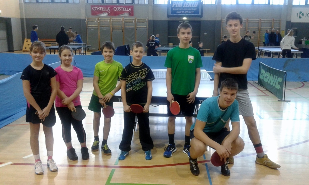 Področno tekmovanje v namiznem tenisu