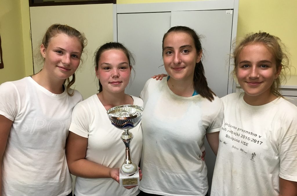 Polfinale državnega prvenstva v odbojki na mivki